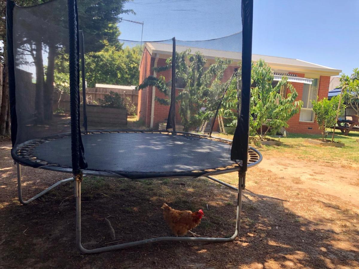 Charlie Sweet Home At Mornington Peninsula Mount Martha Exteriör bild